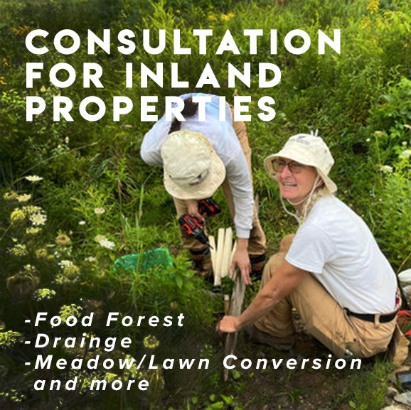 Consultations + Strategic Ecological Plan Development