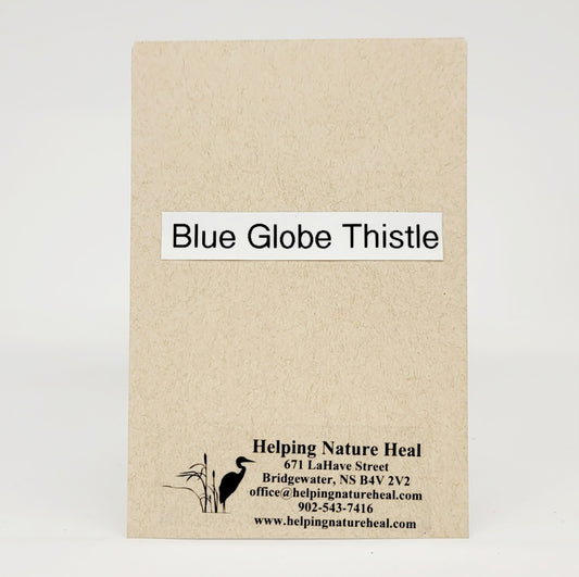 Seed Pack_Blue Globe Thistle