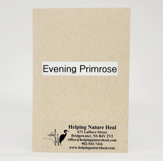 Seed Pack_Evening Primrose