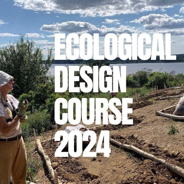 Ecological Design Course 2024