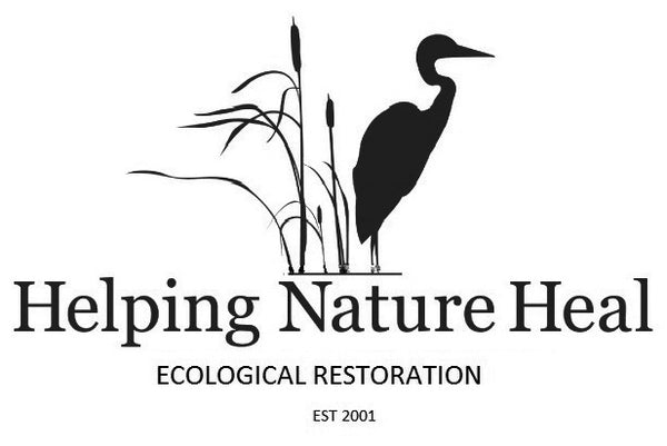 Helping Nature Heal Shop