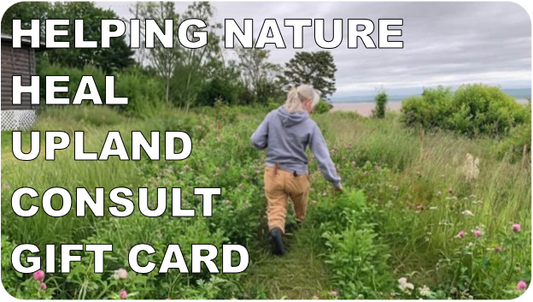 Gift Card: Upland Consultation with Rosmarie Lohnes